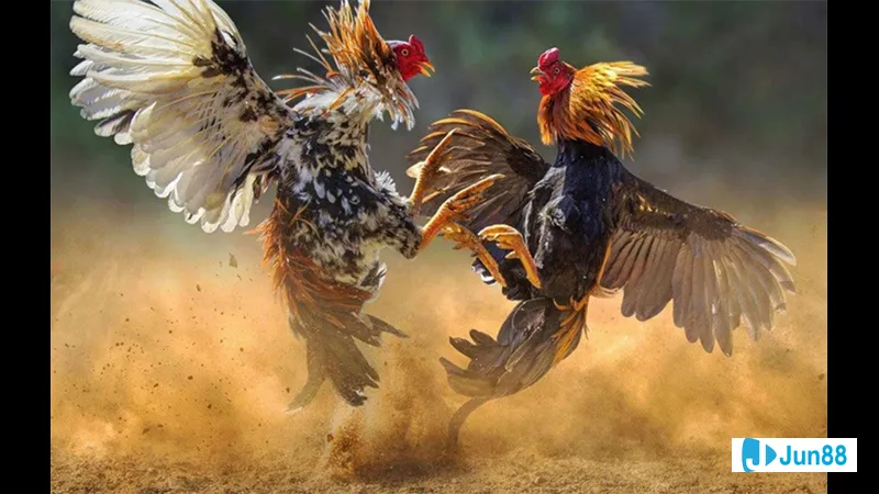 Phòng khách hiện đại với gam màu trắng Phòng khách hiện đại với gam màu trắng